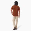 Dickies Men’s Big & Tall Heavyweight Crew Neck Short Sleeve Tee(Cappuccino)