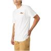 Dickies Mens Short Sleeve Graphic Tees(Snow White / Retro Motor)