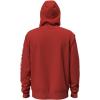 Dickies Water Repellent Sleeve Logo Hoodie(Molten Lava)