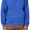 Dickies Water Repellent Sleeve Logo Hoodie(Surf Blue)