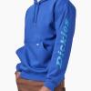 Dickies Water Repellent Sleeve Logo Hoodie(Surf Blue)