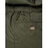 Dickies Womens Short Sleeve FLEX Coverall – P(Moss V1)
