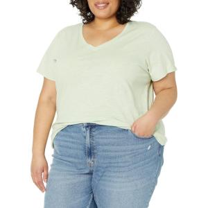 Dickies Womens Women’s Plus Short Sleeve V-Neck T-Shirt(Celadon Green)