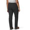 Dickies(Rinsed Black)