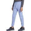 Dickies Men’s Jogger Natural Rise 5 Pockets Elastic Waistband with Interior Self Drawstring DK111(Ciel Blue)