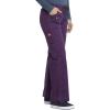 Dickies(Eggplant)