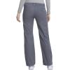 Dickies(Pewter)