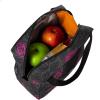 Dickies Insulated Lunch Bag Holder for Work, Thermal Reusable Office Lunch Box for Men, Women (Hot Pink Love Print)(Hot Pink Love)