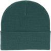 Dickies Mens Acrylic Cuffed Beanie Hat(Forest)