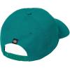 Dickies Mens Washed Canvas Cap(Deep Lake)