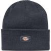 Dickies Classic Cuffed Knit Beanie(Dark Navy)