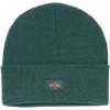 Dickies Mens Acrylic Cuffed Beanie Hat(Forest)