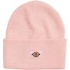 Dickies Mens Acrylic Cuffed Beanie Hat(Lotus)