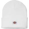 Dickies Mens Acrylic Cuffed Beanie Hat(White)