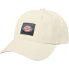 Dickies Mens Washed Canvas Cap(Beige)