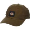 Dickies Mens Washed Canvas Cap(Brown)