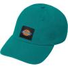 Dickies Mens Washed Canvas Cap(Deep Lake)