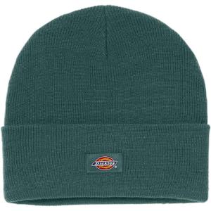 Dickies Mens Acrylic Cuffed Beanie Hat(Forest)