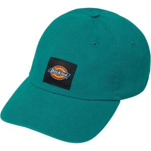 Dickies Mens Washed Canvas Cap(Deep Lake)