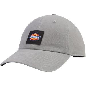 Dickies Mens Washed Canvas Cap(Gray)