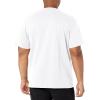 Dickies Men’s Heavyweight Henley(Ash Gray)