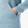 Dickies Women’s Dickies Women’s Heavyweight Wordmark Fleece Pullover(Clear Blue)