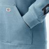 Dickies womens Women’s Plus Heavyweight Wordmark Fleece Pullover(Clear Blue)
